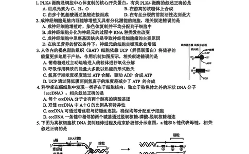 江苏省南通市海安市2025-2026学年高三上学期期初考试生物试卷（含答案)_2025年9月_250911江苏省南通市海安市2025-2026学年高三上学期开学（全科）