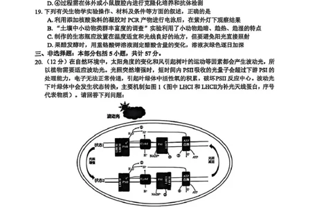 江苏省南通市海安市2025-2026学年高三上学期期初考试生物试卷（含答案)_2025年9月_250911江苏省南通市海安市2025-2026学年高三上学期开学（全科）