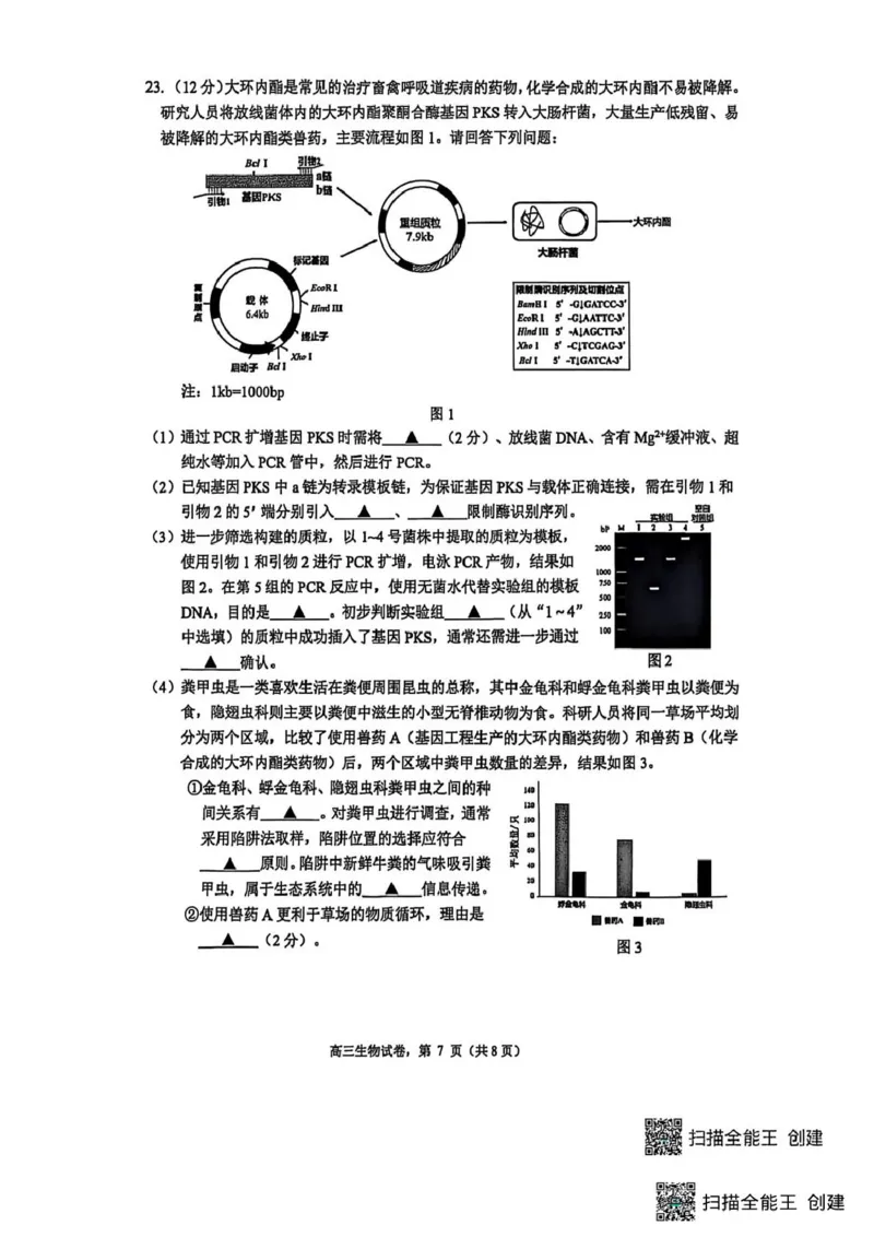 江苏省南通市海安市2025-2026学年高三上学期期初考试生物试卷（含答案)_2025年9月_250911江苏省南通市海安市2025-2026学年高三上学期开学（全科）