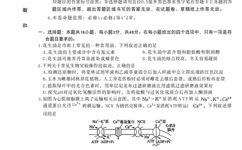 山西三晋卓越联盟2025-2026高三10月质量检测（26-X-028C）生物(B)_2025年10月_251017山西三晋卓越联盟2025-2026高三10月质量检测（26-X-028C）（全科）