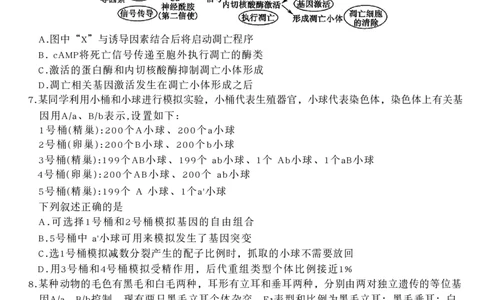 山西三晋卓越联盟2025-2026高三10月质量检测（26-X-028C）生物(B)_2025年10月_251017山西三晋卓越联盟2025-2026高三10月质量检测（26-X-028C）（全科）