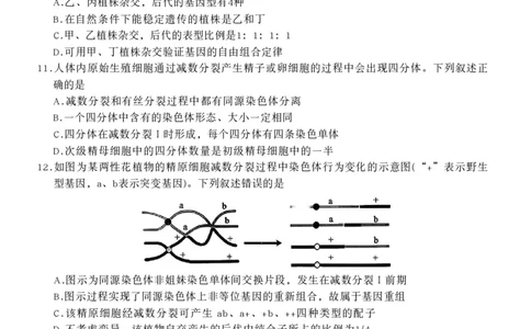 山西三晋卓越联盟2025-2026高三10月质量检测（26-X-028C）生物(B)_2025年10月_251017山西三晋卓越联盟2025-2026高三10月质量检测（26-X-028C）（全科）