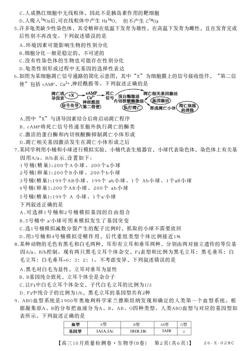 山西三晋卓越联盟2025-2026高三10月质量检测（26-X-028C）生物(B)_2025年10月_251017山西三晋卓越联盟2025-2026高三10月质量检测（26-X-028C）（全科）