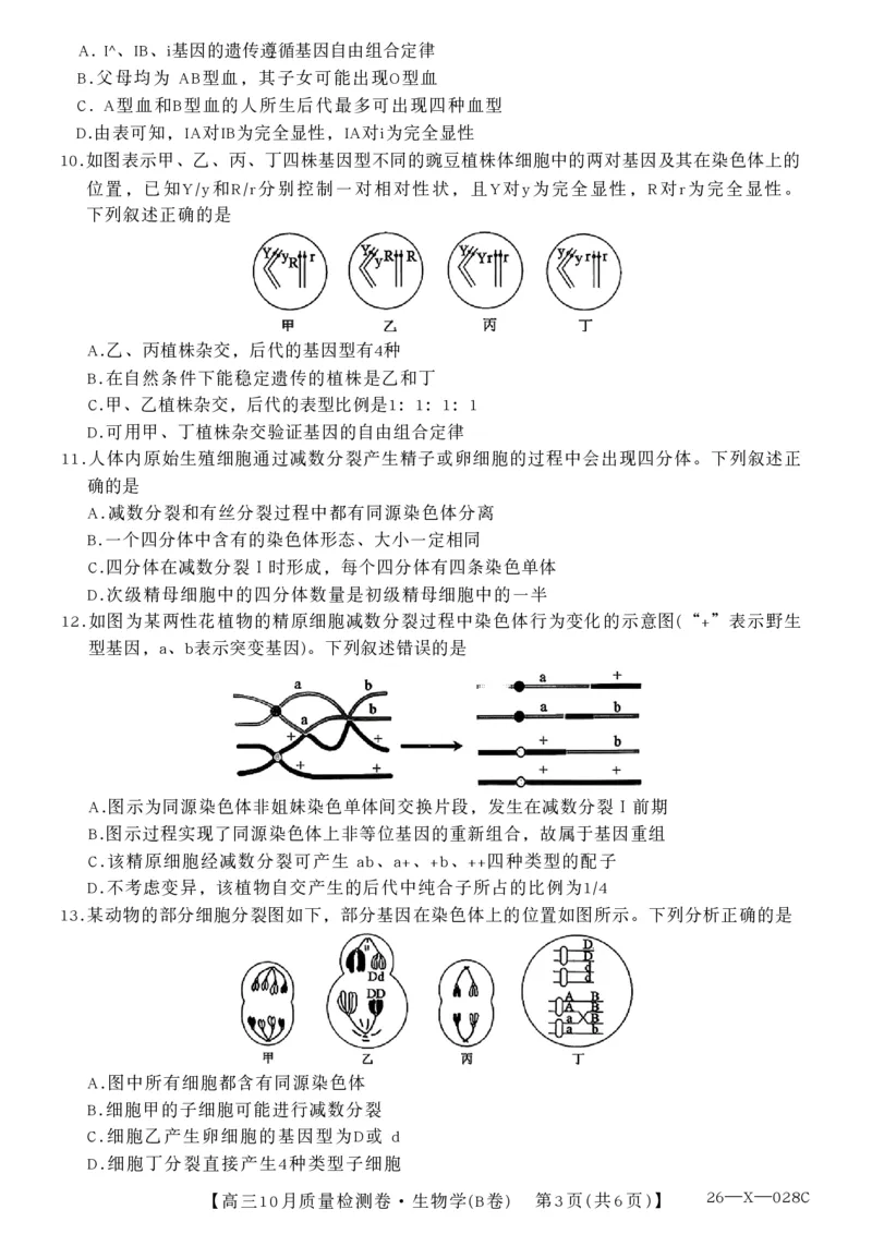 山西三晋卓越联盟2025-2026高三10月质量检测（26-X-028C）生物(B)_2025年10月_251017山西三晋卓越联盟2025-2026高三10月质量检测（26-X-028C）（全科）