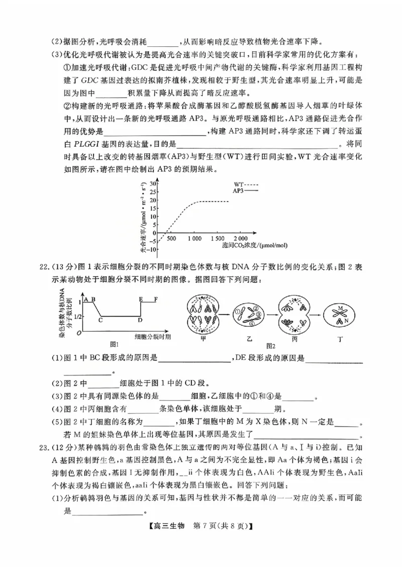 河北省衡水市2025-2026学年高三上学期第三次调研考试（26008C）生物_2025年10月_251001河北省衡水市2025-2026学年高三上学期第三次调研考试（26008C）