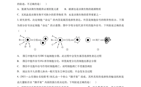 清远一中2025-2026学年度高三上学期期末考试生物试卷_2025年10月_251031广东省清远市第一中学2025-2026学年高三上学期10月期中