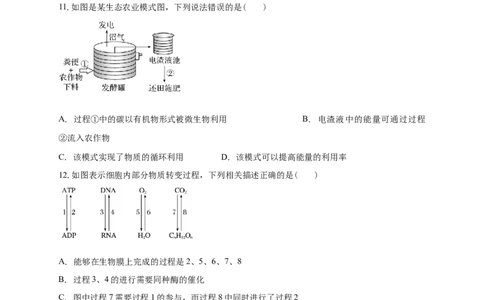 清远一中2025-2026学年度高三上学期期末考试生物试卷_2025年10月_251031广东省清远市第一中学2025-2026学年高三上学期10月期中