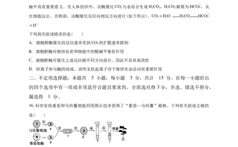 清远一中2025-2026学年度高三上学期期末考试生物试卷_2025年10月_251031广东省清远市第一中学2025-2026学年高三上学期10月期中