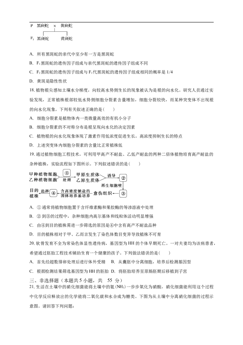 清远一中2025-2026学年度高三上学期期末考试生物试卷_2025年10月_251031广东省清远市第一中学2025-2026学年高三上学期10月期中