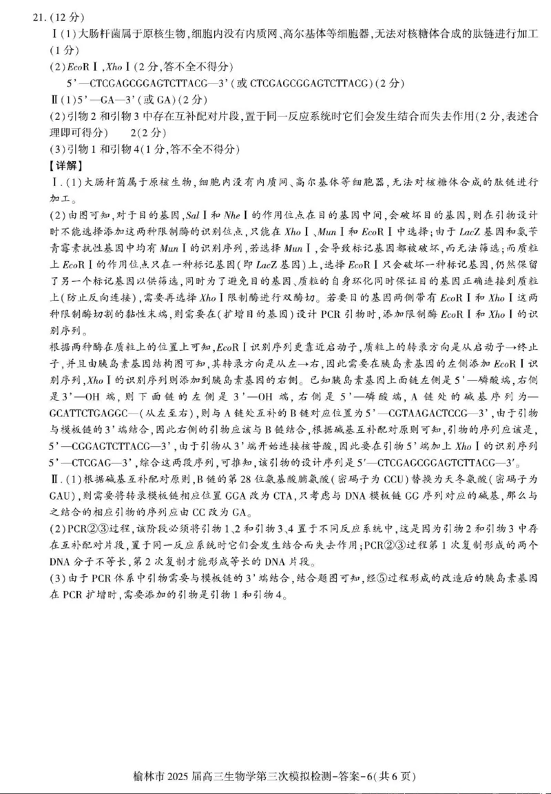 生物答案_2025年3月_250310陕西省榆林市2025届高三第三次模拟检测（全科）_陕西省榆林市2025届高三第三次模拟检测生物