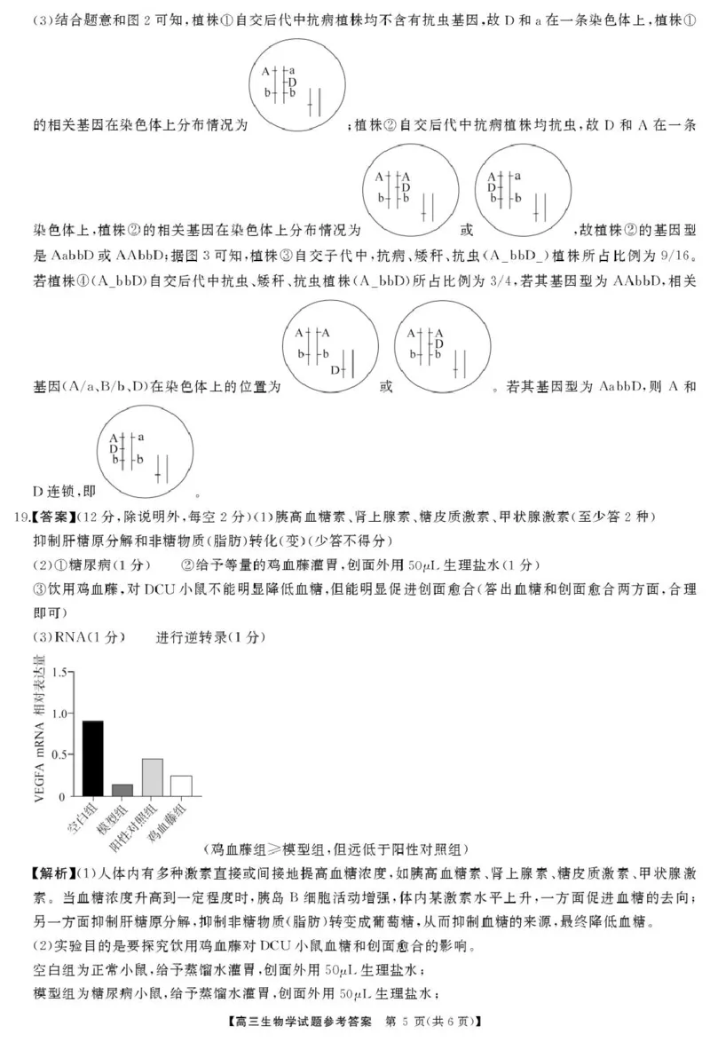 高三生物答案_2025年4月_2504192025届湖南天壹名校联盟高三4月大联考（娄底4月二模）（全科）_湖南省娄底市2025届高三下学期第二次模拟考试生物试题（含答案）