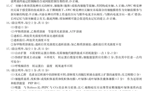 安徽省阜阳市太和中学2026届高三上学期10月月考生物试题解析_2025年10月_251027安徽省阜阳市太和中学2026届高三上学期10月月考（全科）