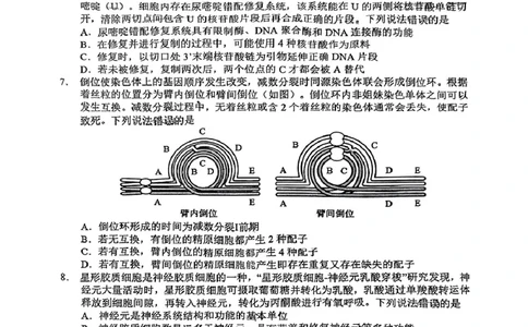山东省淄博市、滨州市2025届高三模拟考试生物_2025年5月_0501山东省淄博市、滨州市2025届高三模拟考试（淄博、滨州一模）（全科）_山东省淄博市、滨州市2025届高三模拟考试生物