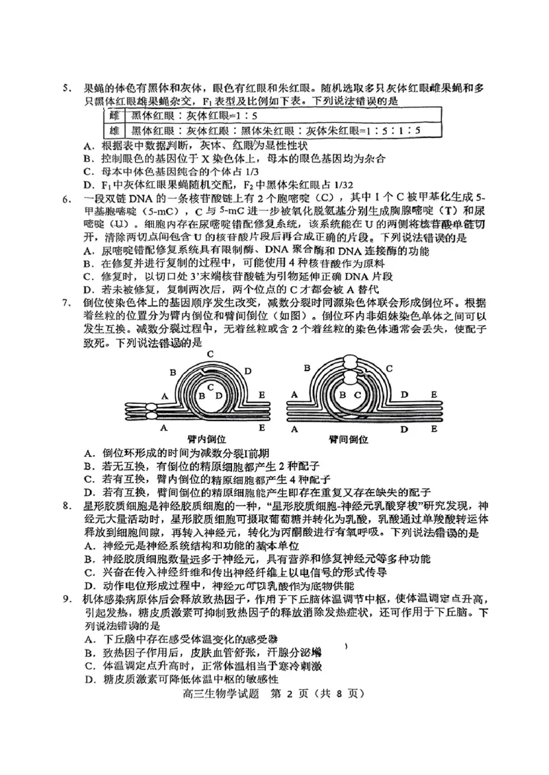 山东省淄博市、滨州市2025届高三模拟考试生物_2025年5月_0501山东省淄博市、滨州市2025届高三模拟考试（淄博、滨州一模）（全科）_山东省淄博市、滨州市2025届高三模拟考试生物