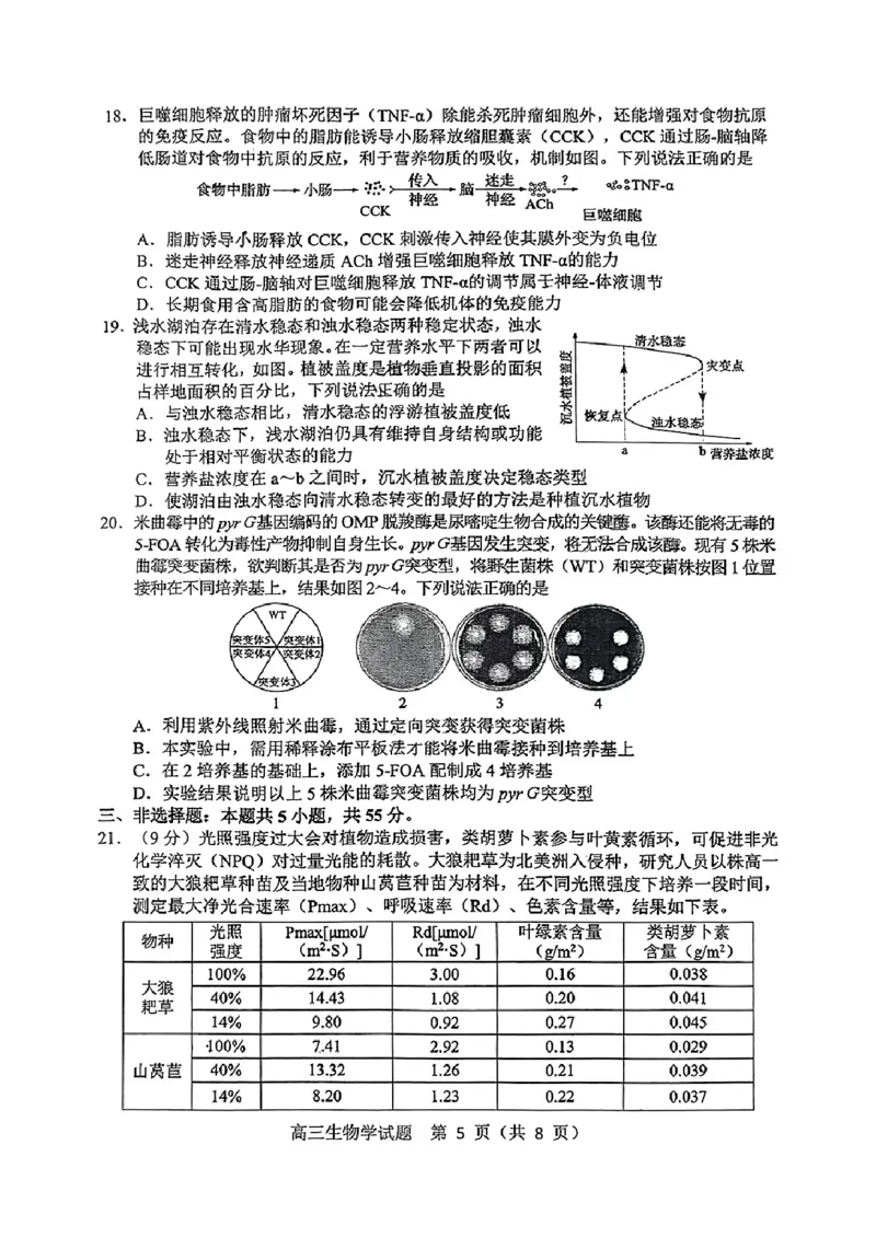 山东省淄博市、滨州市2025届高三模拟考试生物_2025年5月_0501山东省淄博市、滨州市2025届高三模拟考试（淄博、滨州一模）（全科）_山东省淄博市、滨州市2025届高三模拟考试生物