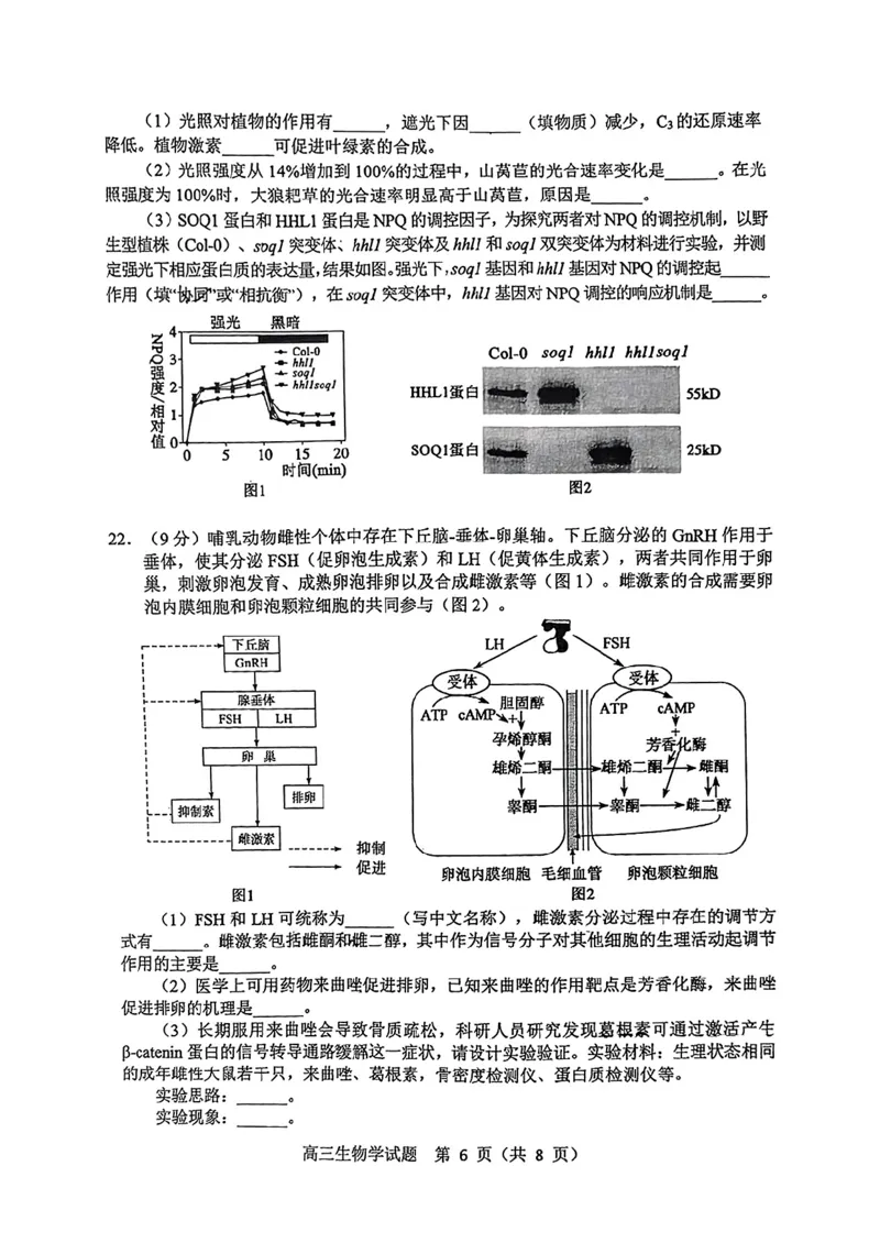 山东省淄博市、滨州市2025届高三模拟考试生物_2025年5月_0501山东省淄博市、滨州市2025届高三模拟考试（淄博、滨州一模）（全科）_山东省淄博市、滨州市2025届高三模拟考试生物