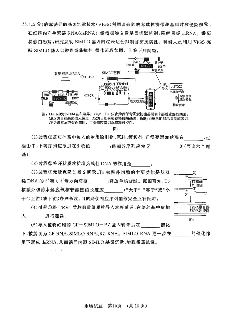 生物试卷_2025年9月_250907山东省名校考试联盟2025-2026学年高三上学期开学摸底考试（全科）_山东省名校考试联盟2025-2026学年高三上学期开学摸底考试生物