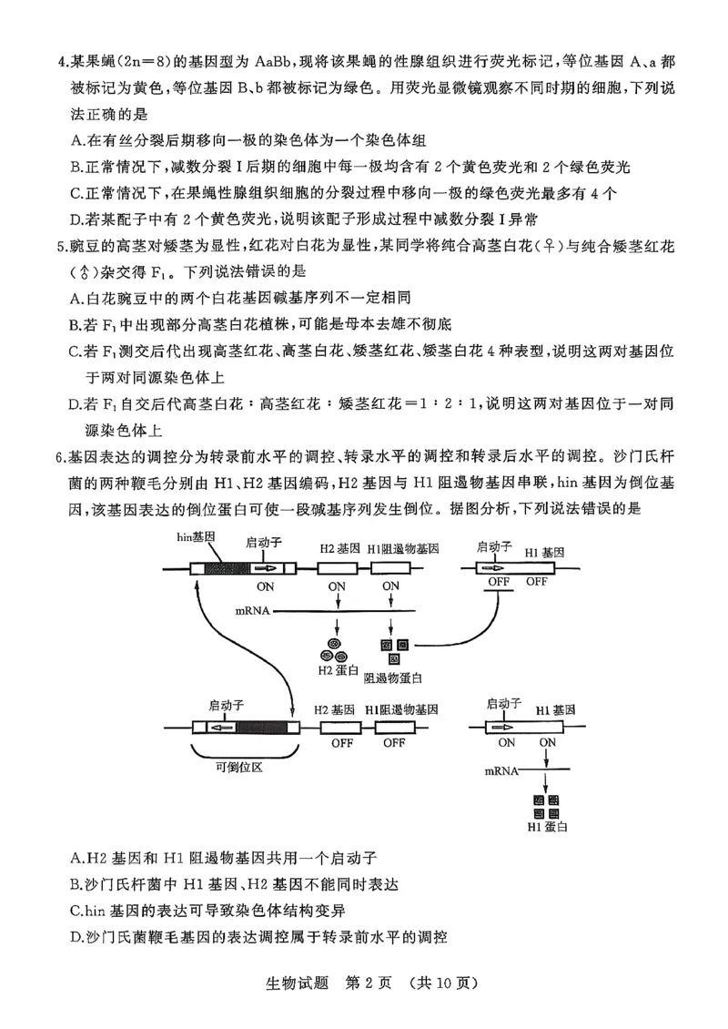 生物试卷_2025年9月_250907山东省名校考试联盟2025-2026学年高三上学期开学摸底考试（全科）_山东省名校考试联盟2025-2026学年高三上学期开学摸底考试生物