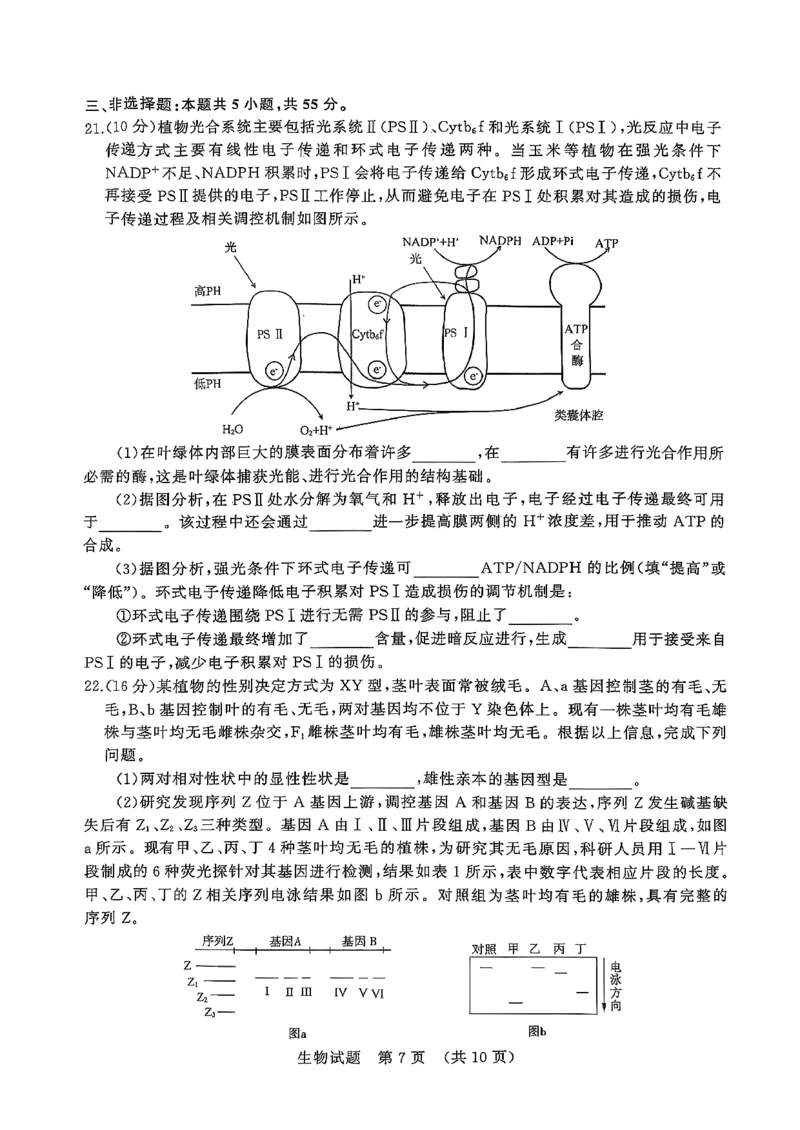 生物试卷_2025年9月_250907山东省名校考试联盟2025-2026学年高三上学期开学摸底考试（全科）_山东省名校考试联盟2025-2026学年高三上学期开学摸底考试生物