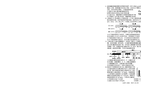 四川省绵阳市高中2022级第二次诊断性考试生物_2025年1月_250117四川省绵阳市高中2022级第二次诊断性考试（全科）_四川省绵阳市高中2022级第二次诊断性考试生物