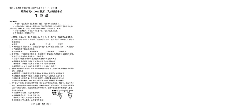 四川省绵阳市高中2022级第二次诊断性考试生物_2025年1月_250117四川省绵阳市高中2022级第二次诊断性考试（全科）_四川省绵阳市高中2022级第二次诊断性考试生物
