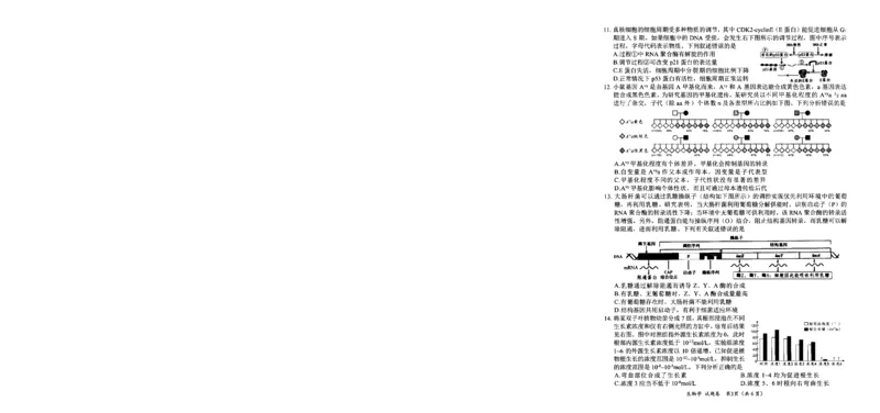 四川省绵阳市高中2022级第二次诊断性考试生物_2025年1月_250117四川省绵阳市高中2022级第二次诊断性考试（全科）_四川省绵阳市高中2022级第二次诊断性考试生物