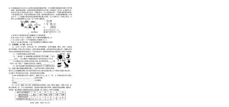 四川省绵阳市高中2022级第二次诊断性考试生物_2025年1月_250117四川省绵阳市高中2022级第二次诊断性考试（全科）_四川省绵阳市高中2022级第二次诊断性考试生物