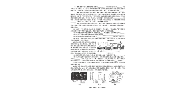 四川省绵阳市高中2022级第二次诊断性考试生物_2025年1月_250117四川省绵阳市高中2022级第二次诊断性考试（全科）_四川省绵阳市高中2022级第二次诊断性考试生物