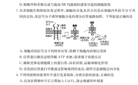 生物试卷（26月考一Y）_2025年9月_250910湖南省长沙市第一中学2025-2026学年高三上学期9月月考（一）（全科）