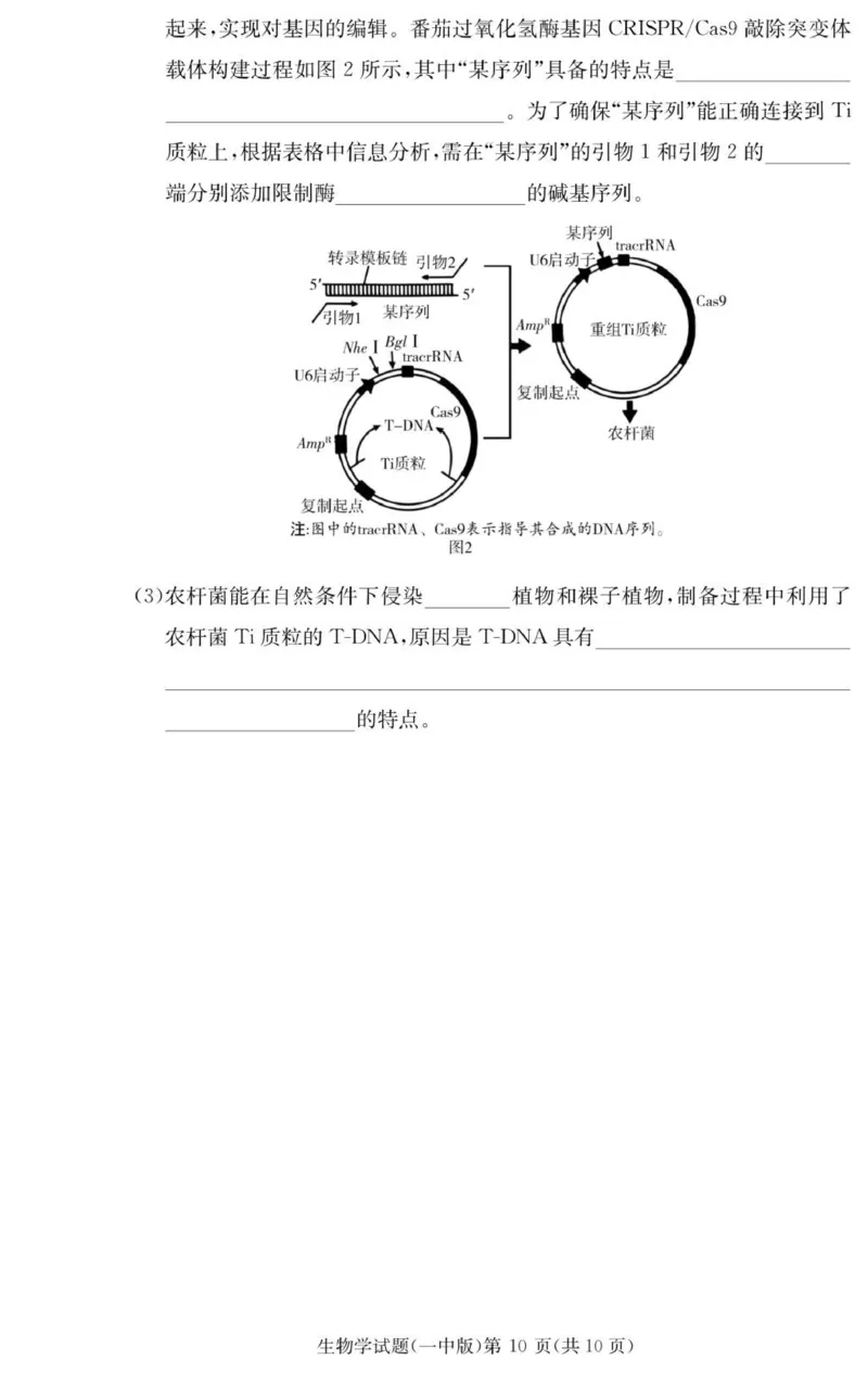生物试卷（26月考一Y）_2025年9月_250910湖南省长沙市第一中学2025-2026学年高三上学期9月月考（一）（全科）