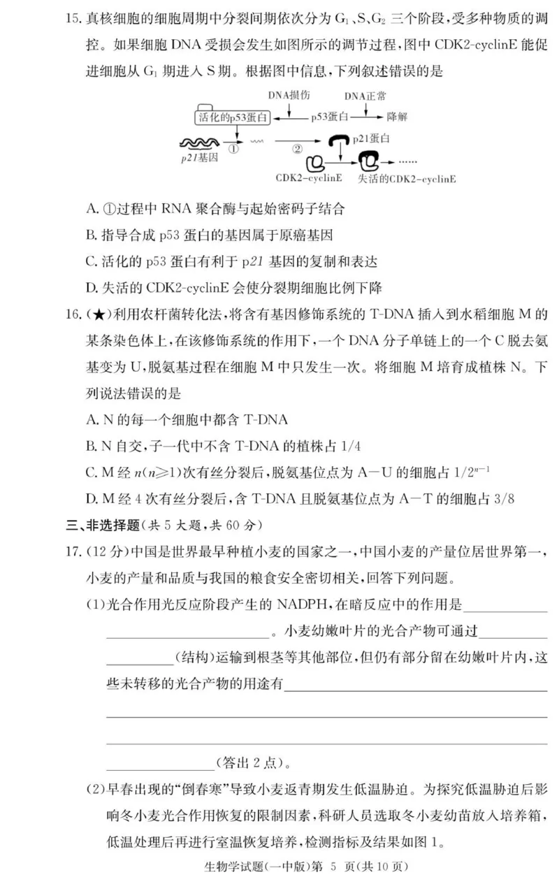 生物试卷（26月考一Y）_2025年9月_250910湖南省长沙市第一中学2025-2026学年高三上学期9月月考（一）（全科）