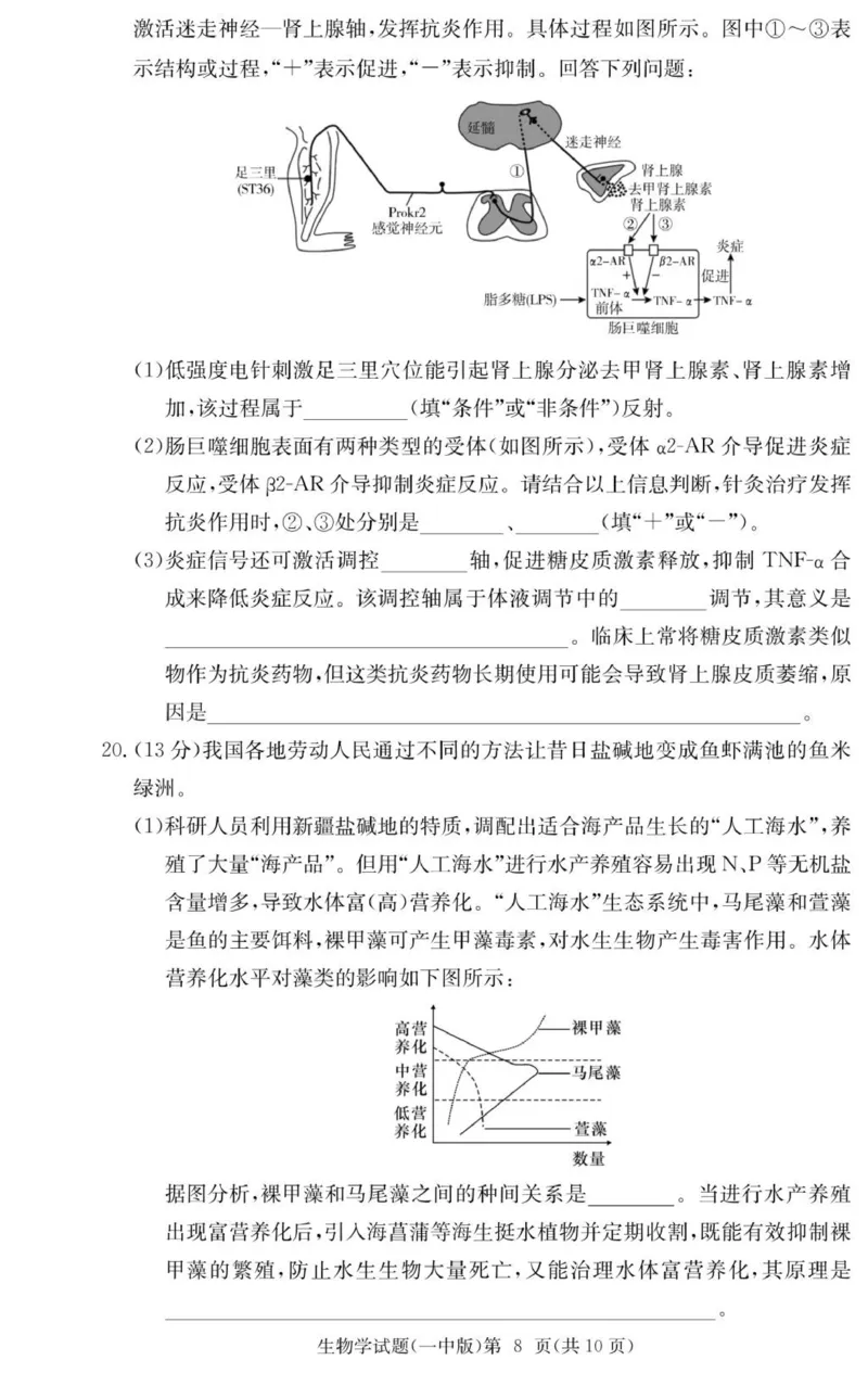 生物试卷（26月考一Y）_2025年9月_250910湖南省长沙市第一中学2025-2026学年高三上学期9月月考（一）（全科）