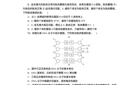 湖北省部分高中协作体2025届高三下学期3月一模联考生物试题（含解析）_2025年3月_250318湖北省部分高中协作体2025届高三下学期3月一模联考
