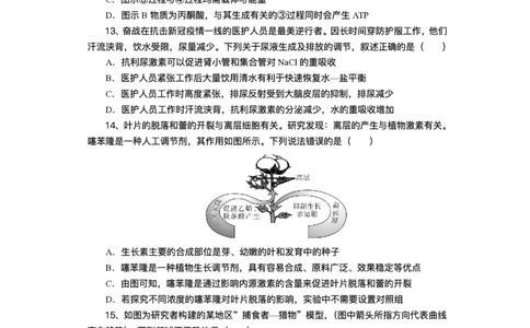 湖北省部分高中协作体2025届高三下学期3月一模联考生物试题（含解析）_2025年3月_250318湖北省部分高中协作体2025届高三下学期3月一模联考