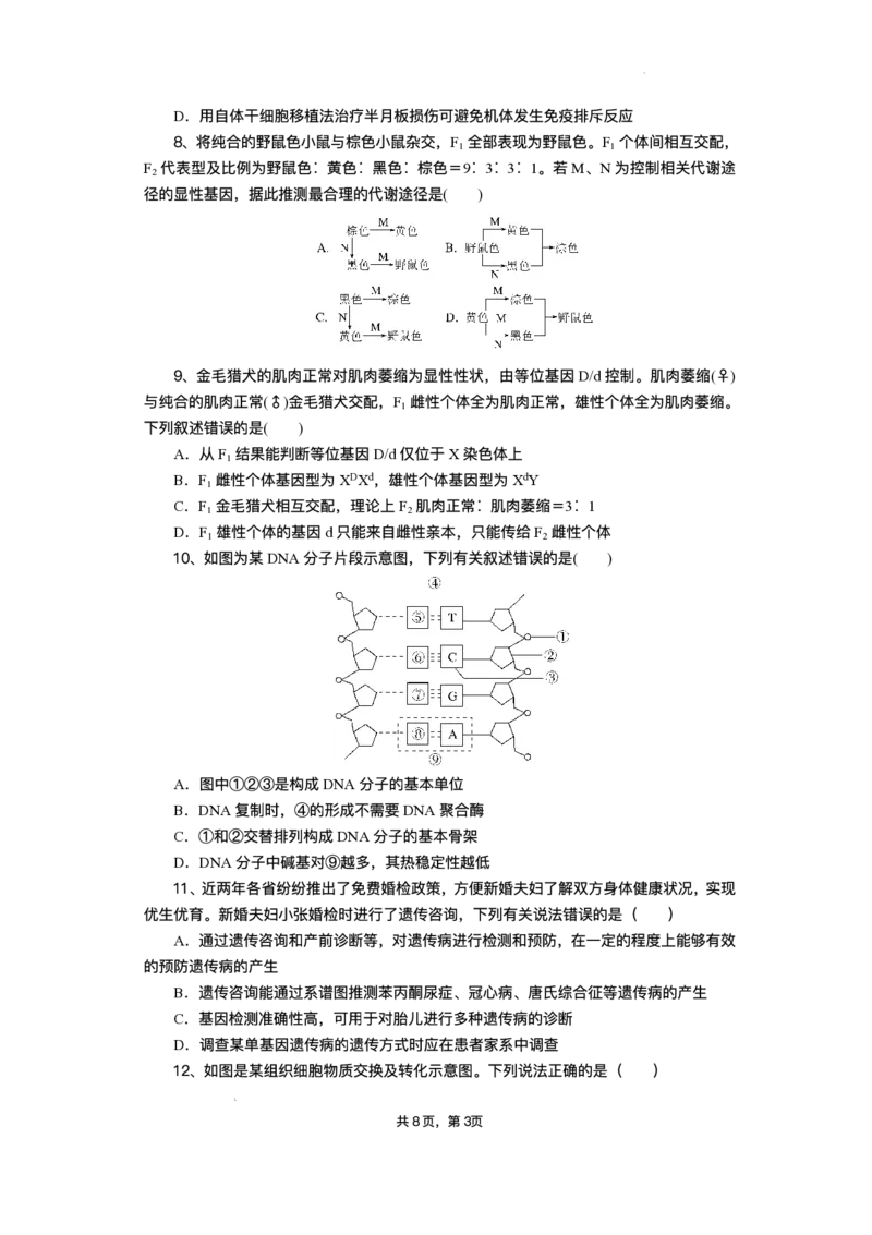 湖北省部分高中协作体2025届高三下学期3月一模联考生物试题（含解析）_2025年3月_250318湖北省部分高中协作体2025届高三下学期3月一模联考