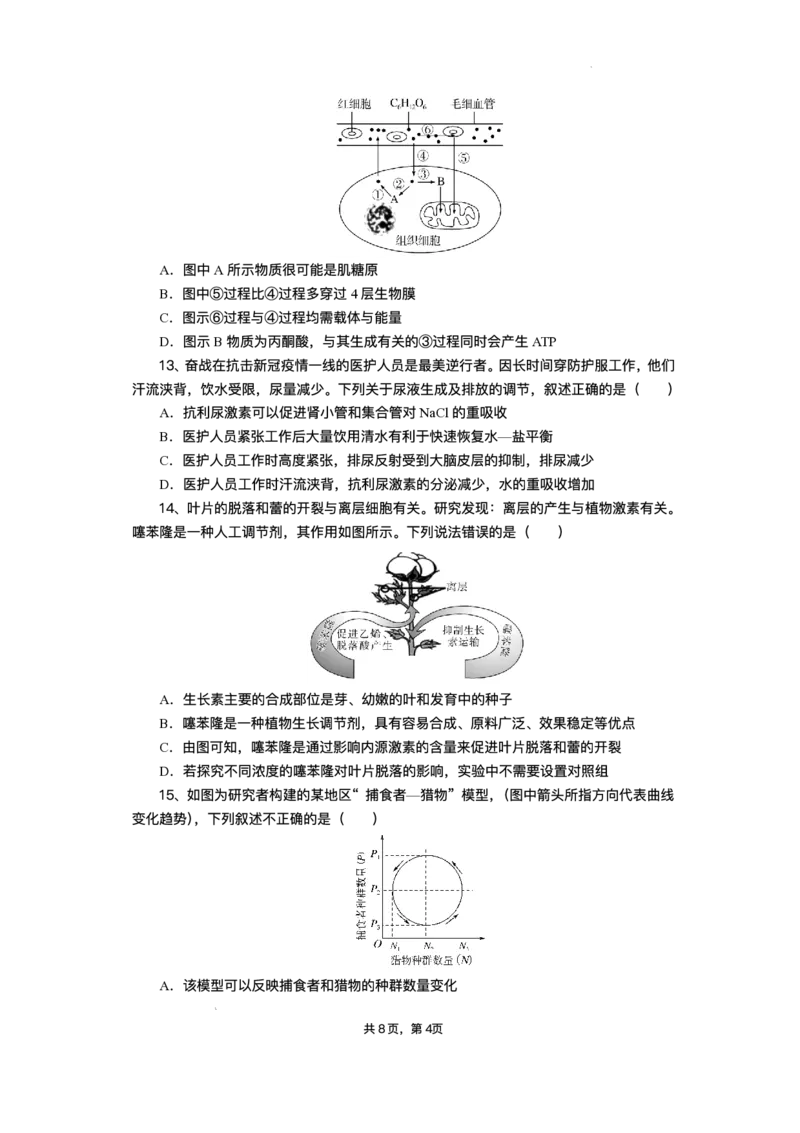 湖北省部分高中协作体2025届高三下学期3月一模联考生物试题（含解析）_2025年3月_250318湖北省部分高中协作体2025届高三下学期3月一模联考