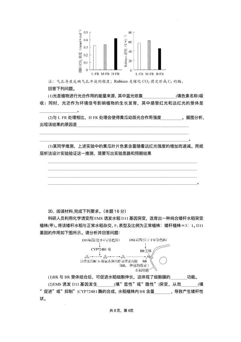 湖北省部分高中协作体2025届高三下学期3月一模联考生物试题（含解析）_2025年3月_250318湖北省部分高中协作体2025届高三下学期3月一模联考