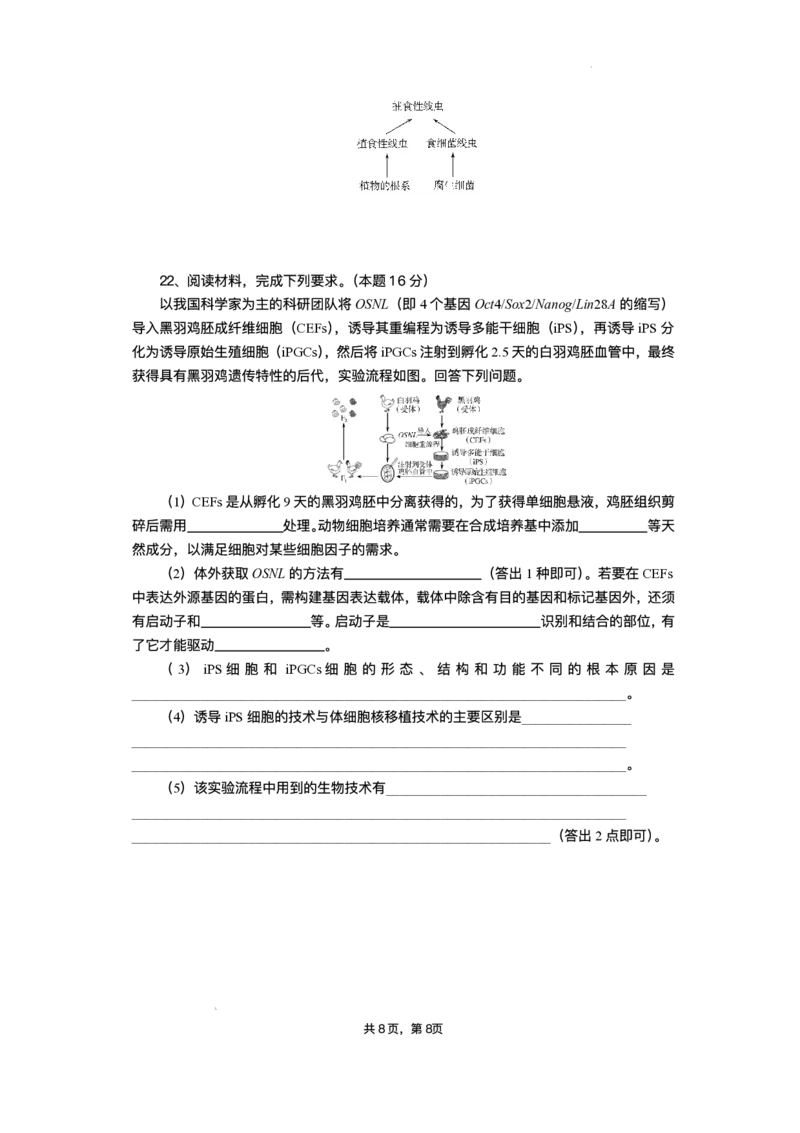 湖北省部分高中协作体2025届高三下学期3月一模联考生物试题（含解析）_2025年3月_250318湖北省部分高中协作体2025届高三下学期3月一模联考