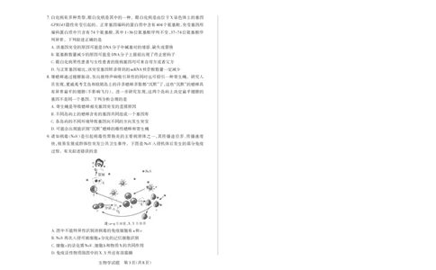 山西省思而行2025年高考考前适应性测试（冲刺卷）生物_2025年4月_250416山西省2025年高考考前适应性测试（冲刺卷）（山西省二模）_2025年山西高考省二模（冲刺卷）生物