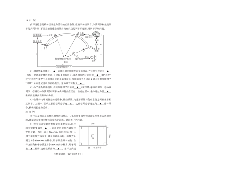 山西省思而行2025年高考考前适应性测试（冲刺卷）生物_2025年4月_250416山西省2025年高考考前适应性测试（冲刺卷）（山西省二模）_2025年山西高考省二模（冲刺卷）生物