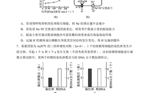 哈三中2024-2025学年度上学期高三学年期末考试生物_2025年1月_250117黑龙江省哈尔滨市第三中学校2024-2025学年高三上学期期末考试（全科）