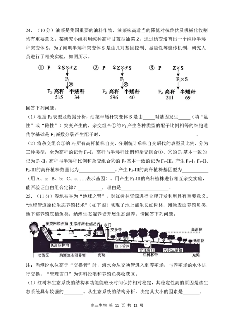 哈三中2024-2025学年度上学期高三学年期末考试生物_2025年1月_250117黑龙江省哈尔滨市第三中学校2024-2025学年高三上学期期末考试（全科）
