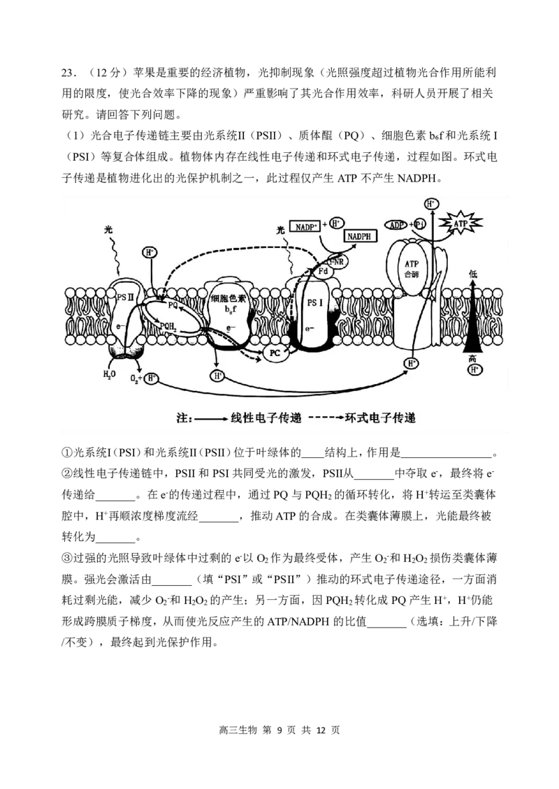 哈三中2024-2025学年度上学期高三学年期末考试生物_2025年1月_250117黑龙江省哈尔滨市第三中学校2024-2025学年高三上学期期末考试（全科）