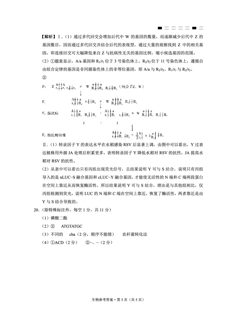 重庆市第八中学2025届高三3月适应性月考卷（六）生物答案_2025年3月_250323重庆市第八中学2025届高三3月适应性月考卷（六）（全科）