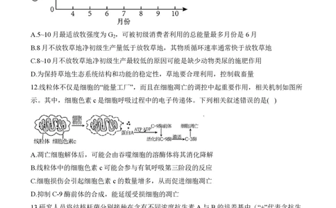 2024届明日之星高考生物精英模拟卷福建版_2024高考押题卷_72024正确教育全系列_2024明日之星全系列_（新高考）2024《明日之星&middot;高考精英模拟卷》（九科全）各一套