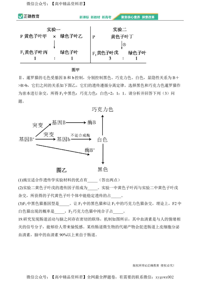 2024届明日之星高考生物精英模拟卷福建版_2024高考押题卷_72024正确教育全系列_2024明日之星全系列_（新高考）2024《明日之星&middot;高考精英模拟卷》（九科全）各一套