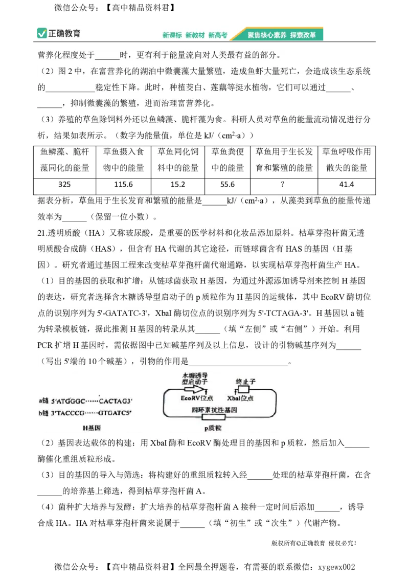 2024届明日之星高考生物精英模拟卷福建版_2024高考押题卷_72024正确教育全系列_2024明日之星全系列_（新高考）2024《明日之星&middot;高考精英模拟卷》（九科全）各一套