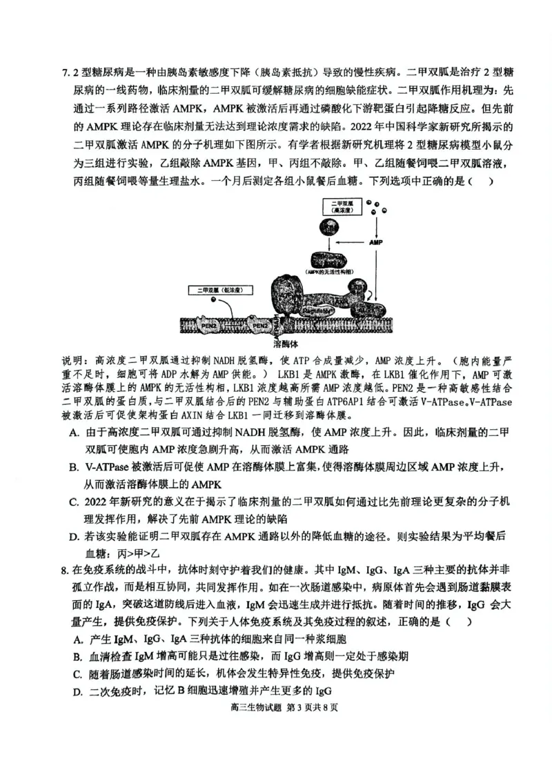 安徽师范大学附属中学2025届高三下学期5月考前适应性检测生物试卷（含答案）_2025年5月_250529安徽师范大学附属中学2025届高三下学期模拟预测（全科）
