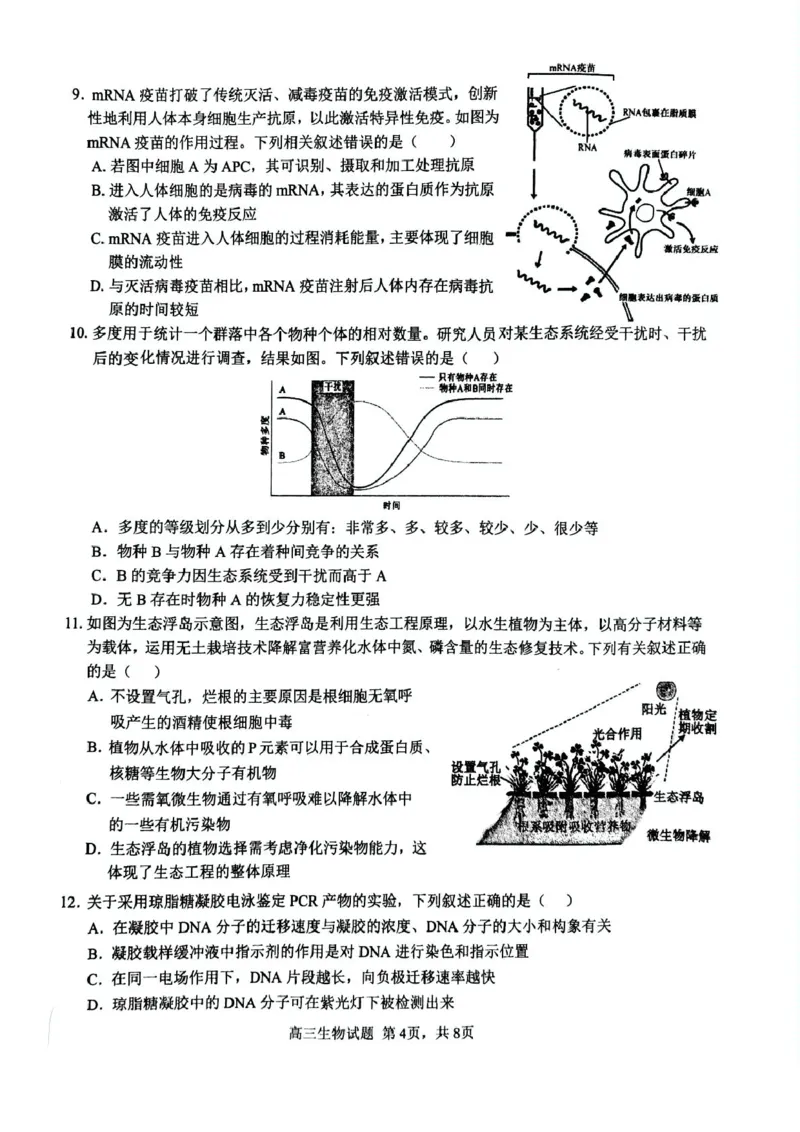 安徽师范大学附属中学2025届高三下学期5月考前适应性检测生物试卷（含答案）_2025年5月_250529安徽师范大学附属中学2025届高三下学期模拟预测（全科）