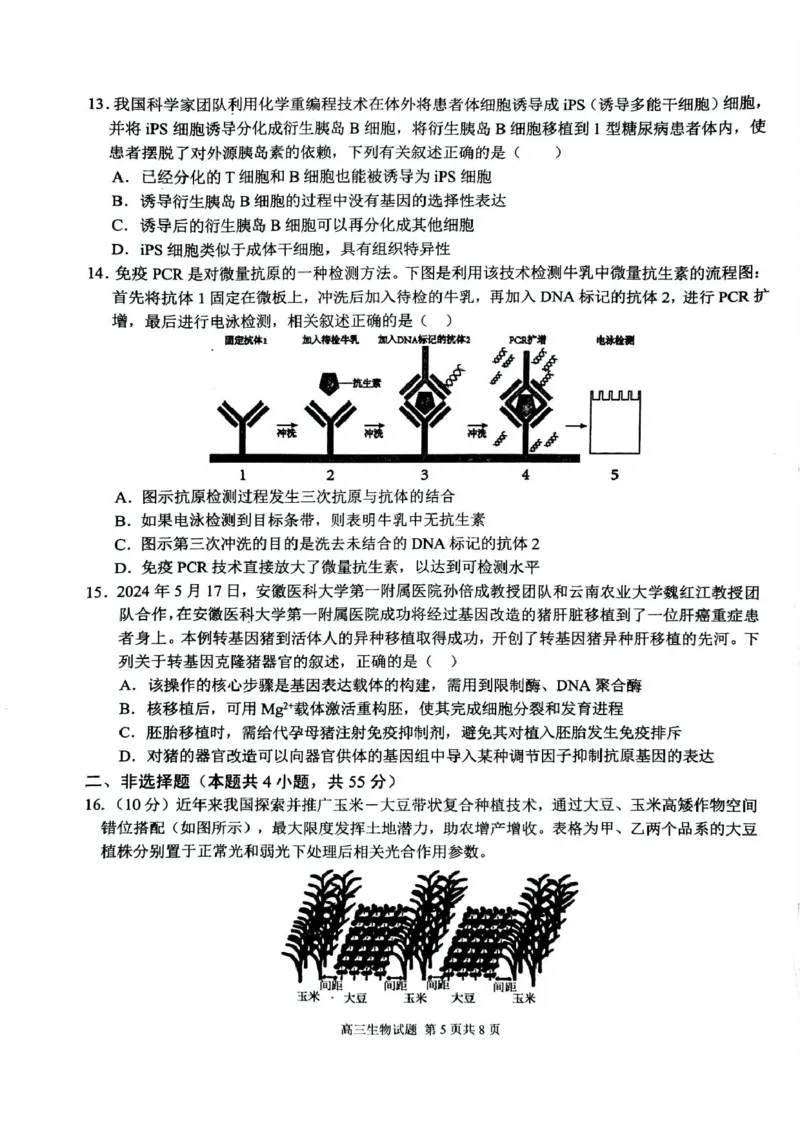 安徽师范大学附属中学2025届高三下学期5月考前适应性检测生物试卷（含答案）_2025年5月_250529安徽师范大学附属中学2025届高三下学期模拟预测（全科）